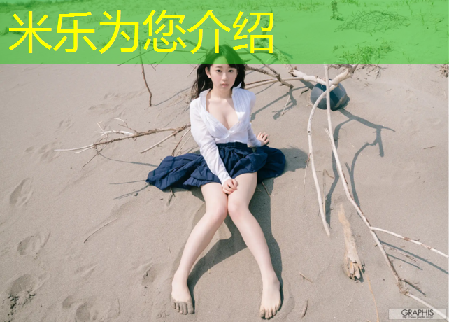 <strong>米樂(lè)為您介紹：塑膠跑道地坪教程</strong>